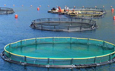 智能养殖监测养鱼池塘水族馆水的pH值和溶解氧其