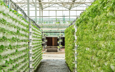室内种植空气温湿度二氧化碳监测方案