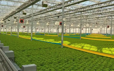 温室大棚种植二氧化碳监测