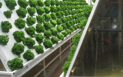 气培种植智能雾化控制系统